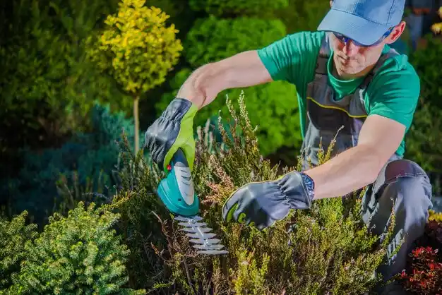 landscaping services Tecumseh
